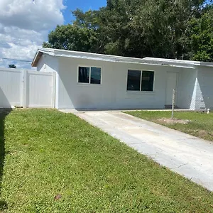 Dan G , Tampa United States